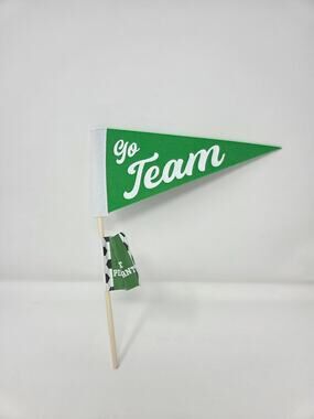 Go Team Sports Pennant Felt Flag